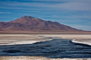 Atacama #22