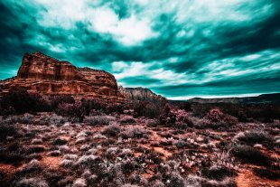 Arizona #71