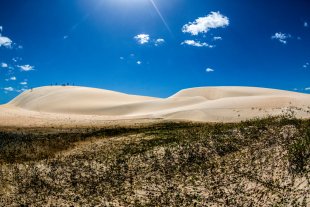 Jericoacoara #168