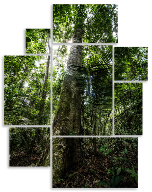 Composição #03